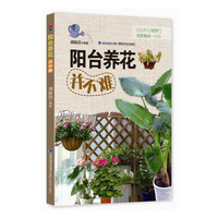 阳台养花并不难