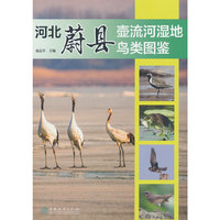 河北蔚县壶流河湿地鸟类图鉴