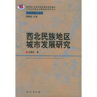 西北民族地区城市发展研究