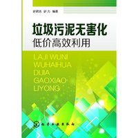 垃圾污泥无害化低价高效利用