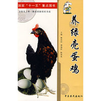 养绿壳蛋鸡