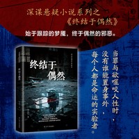 终结于偶然 悬疑推理 悬疑小说