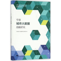 宁波城市大数据战略研究