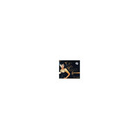 陈湘琵琶演奏专辑:彝族舞曲(2CD)