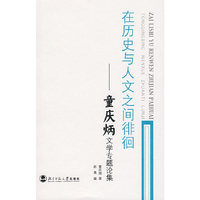 在历史与人文之间徘徊——童庆炳文学专题论集