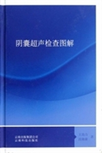 阴囊超声检查图解