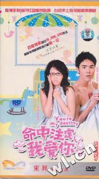 命中注定我爱你II 四碟装(DVD)