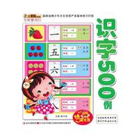 识字500例-小笨熊动漫与智慧同行-赠送动漫光盘