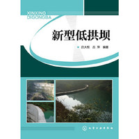 新型低拱坝