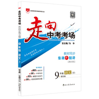 走向中考考场 九年级语文下 语文版 2016春