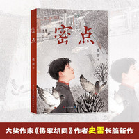 史雷：密点（作家史雷2024年长篇新作）