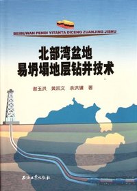 北部湾盆地易坍塌地层钻井技术
