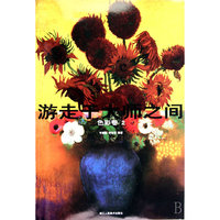 游走于大师之间：色彩卷2