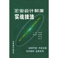企业会计制度实战技法