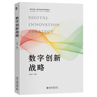 数字创新战略 数字中国·数字经济创新规划教材