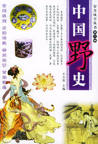 中国野史——岁月风尘丛书（第二辑）