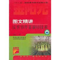图文精讲反季节芹菜栽培技术