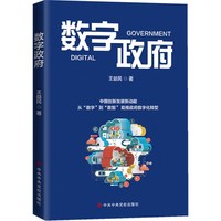 数字政府