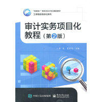 审计实务项目化教程(第2版)