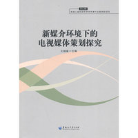 2013年-新媒介环境下的电视媒体策划探究