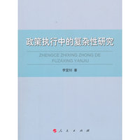 政策执行中的复杂性研究