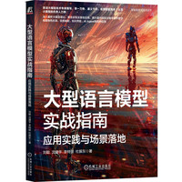 大型语言模型实战指南：应用实践与场景落地    刘聪 沈盛宇 李特丽 杜振东
