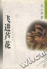 飞进芦花