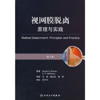视网膜脱离原理与实践-第3版
