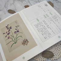 《诗经》中的本草