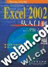 Excel 2002从入门到精通(中文版)