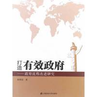 打造有效政府:政府流程改进研究