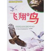飞翔的鸟(新科学探索丛书)