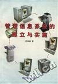 管理信息系统的建立与实施