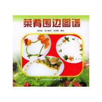 菜肴围边图谱