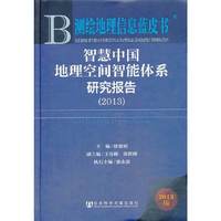 智慧中国地理空间智能体系研究报告（2013）