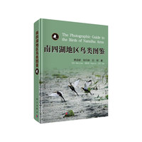 南四湖地区鸟类图鉴