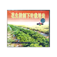 花生控制下针栽培法(VCD)