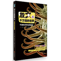 千姿百态的生命奇迹-放大千万倍的世界-6