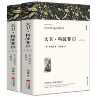 大卫·科波菲尔(上下册)