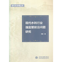 现代水利行业强监管前沿问题研究（现代水治理丛书）
