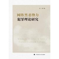 网络黑恶势力犯罪理论研究
