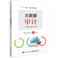 大数据审计