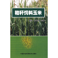 秸秆饲料玉米