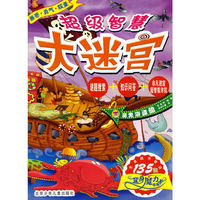 超级智慧大迷宫·魔鬼海盗船