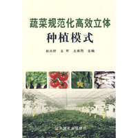 蔬菜规范化高效立体种植模式