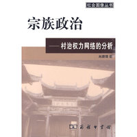 宗族政治--村治权力网络的分析