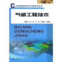 川南碳酸盐岩有水气藏开采丛书 气藏工程技术