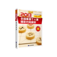 2013全国象棋杯赛精彩对局解析