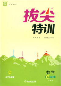 通城学典·拔尖特训：数学（五年级上 人教版）