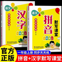 2册同步天天练一年级上册汉字拼音默写课堂助力提升拼写能力少儿小学生学习知识衔接书籍课外练习巩固课堂内容